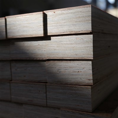 Bekalan Terus Kilang Bahan Binaan -Tujuan Am LVL